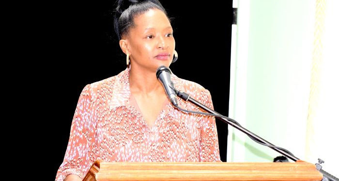 GOVERNMENT OF ST. KITTS AND NEVIS LAUNCHES NEW PROGRAMME TO ‘ELEVATE’ THE LIVES OF AT-RISK AND MARGINALIZED INDIVIDUALS opportunity from Elevate — Jobs
